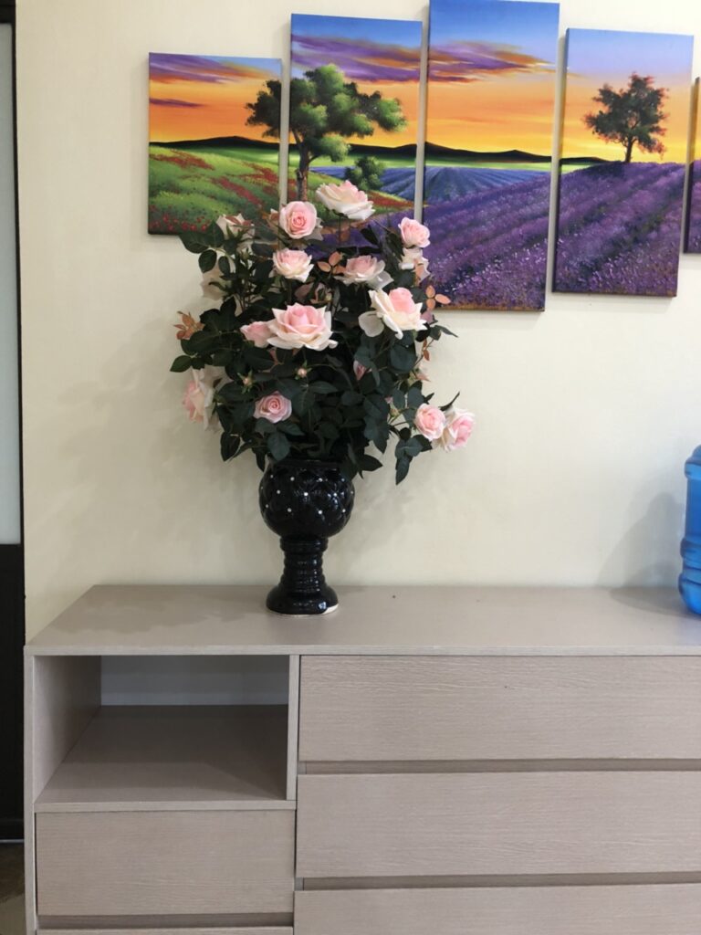 princess-villa-hoa-binh-2