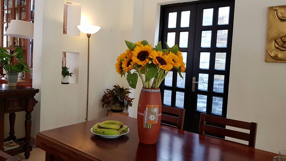 Villa-pool-garden-le-hong-phong-vung-tau