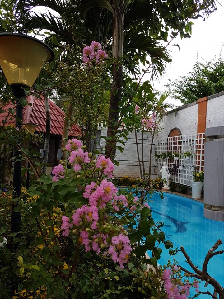 Villa-pool-garden-le-hong-phong-vung-tau-ho-boi