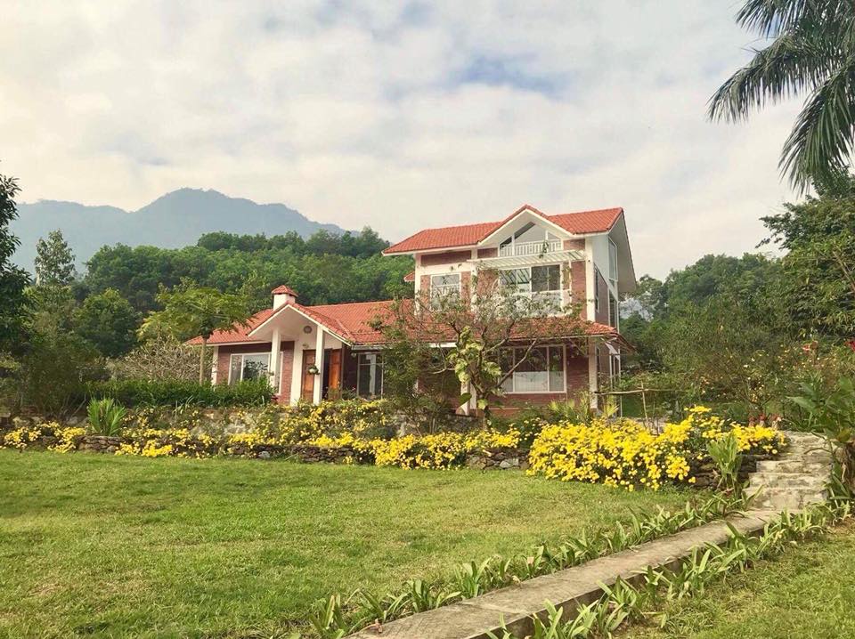 tuong-vi-biet-thu-thach-that